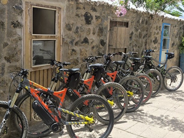 e-mtb-bionicon-evo-big-19