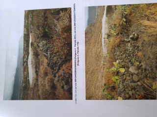 Vendo terreno rustico en isla del hierro, las puntas, camino de la peña