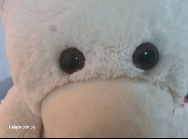 oso-de-peluche-gigante-big-4