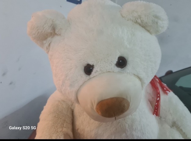 oso-de-peluche-gigante-big-5