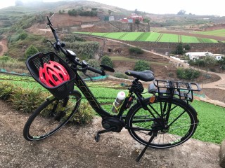 VENDO BICICLETA ELÉCTRICA SCOTT CON MOTOR BOSCH EN MUY BUEN ESTADO