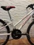 bicicleta-avigo-stylin-nina-small-2