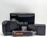 canon-eos-r6-mark-ii-canon-eos-r3-canon-eos-r5-nikon-z9-nikon-z8-nikon-z-7ii-small-3