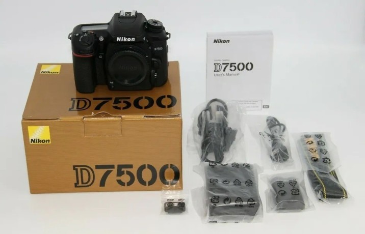 canon-eos-r6-mark-ii-canon-eos-r3-canon-eos-r5-nikon-z9-nikon-z8-nikon-z-7ii-big-7