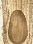 cholassandalias-small-3