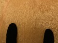 disfraz-de-garfield-small-10