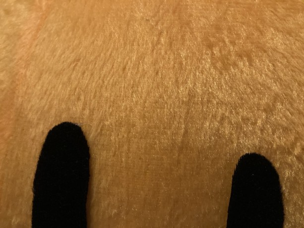disfraz-de-garfield-big-10