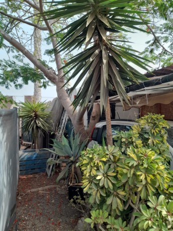 caravana-mas-avance-100-metros-en-camping-nauta-oportunidad-unica-big-3