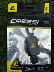 Mini retractable lanyard