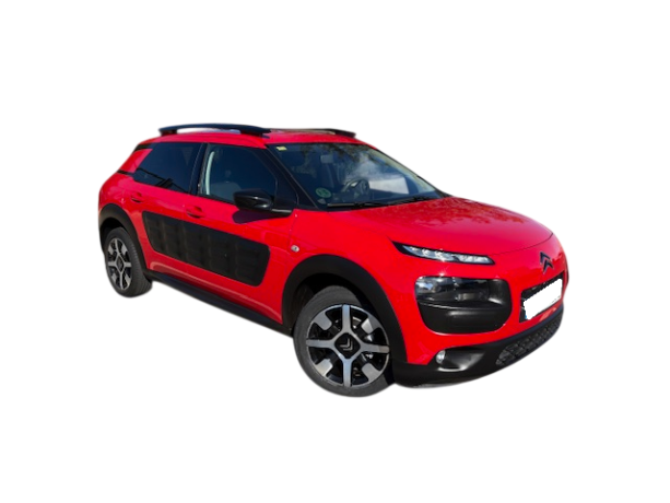 citroen-c4-captus-8900-big-2