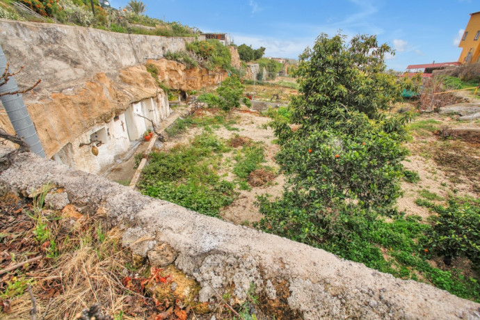 finca-rustica-con-casa-cueva-en-granadilla-big-9