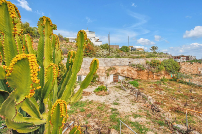 finca-rustica-con-casa-cueva-en-granadilla-big-11