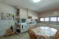 casa-o-chalet-independiente-en-venta-en-camino-al-parque-la-reina-sn-small-9