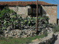 casa-rural-en-venta-en-fasnia-sn-small-1