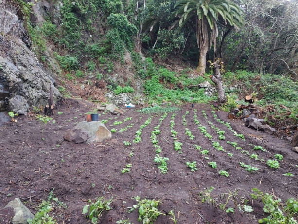 casa-de-pueblo-en-venta-en-urb-chamorga-anaga-big-7