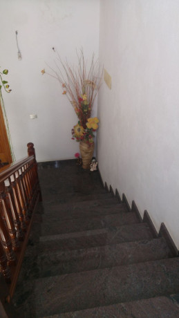 chalet-pareado-en-venta-en-calle-tangara-4-big-10