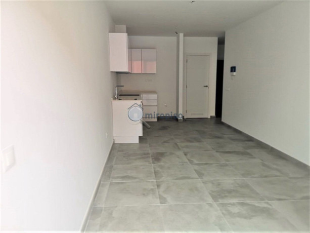 piso-en-venta-en-la-laguna-big-9