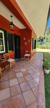 casa-o-chalet-independiente-en-venta-en-calle-el-drago-29-big-7