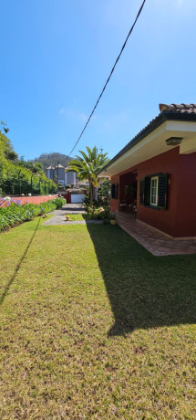 casa-o-chalet-independiente-en-venta-en-calle-el-drago-29-big-3