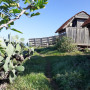 finca-rustica-en-venta-en-lagarete-1-small-14