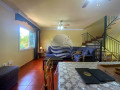 chalet-adosado-en-venta-en-calle-jardin-botanico-small-4