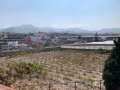 finca-rustica-en-venta-en-calle-el-esparragal-sn-small-21