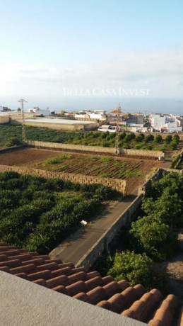 finca-rustica-en-venta-en-calle-el-esparragal-sn-big-7