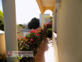 casa-o-chalet-independiente-en-venta-en-vega-lagunera-small-10