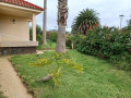 casa-o-chalet-independiente-en-venta-en-vega-lagunera-small-2