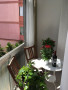 piso-en-venta-en-calle-volcan-fogo-10-small-4