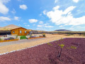 finca-rustica-en-venta-en-tf-645-small-2