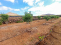 finca-rustica-en-venta-en-tf-645-small-12