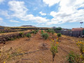 finca-rustica-en-venta-en-tf-645-small-11