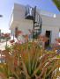 casa-o-chalet-independiente-en-venta-en-charco-del-pino-small-2