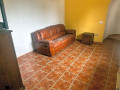 casa-o-chalet-independiente-en-venta-en-calle-el-pinito-small-17