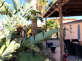 casa-o-chalet-independiente-en-venta-en-los-abrigos-small-4