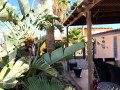 casa-o-chalet-en-venta-en-los-abrigos-small-23