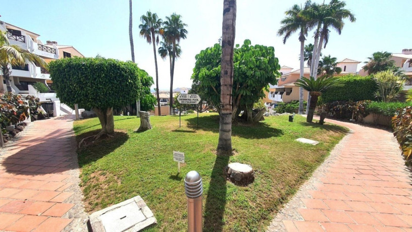 piso-en-venta-en-golf-del-sur-amarilla-golf-big-14