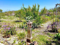 finca-rustica-en-venta-en-aldea-blanca-las-zocas-small-26