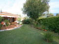 casa-o-chalet-independiente-en-venta-en-distrito-botanico-small-0