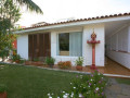 casa-o-chalet-independiente-en-venta-en-distrito-botanico-small-5