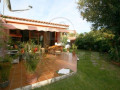 casa-o-chalet-independiente-en-venta-en-distrito-botanico-small-8