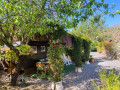 finca-rustica-en-venta-en-guia-de-isora-small-16