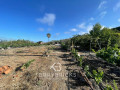 finca-rustica-en-venta-en-guia-de-isora-small-17