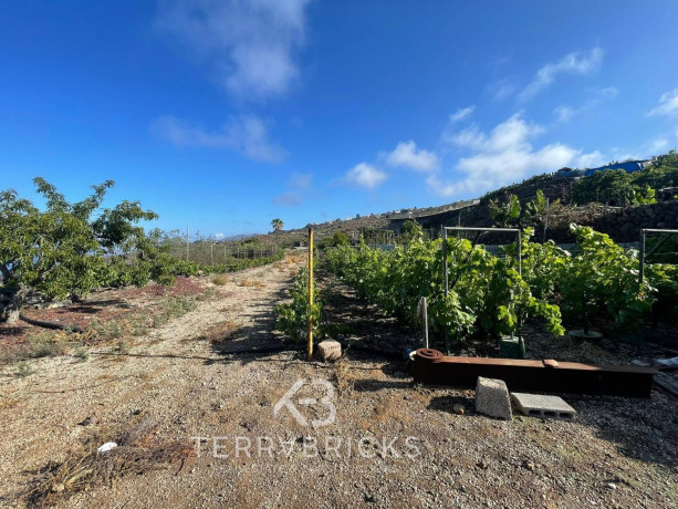 finca-rustica-en-venta-en-guia-de-isora-big-10