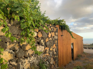 Casa terrera en venta en la cueva del polvo