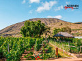 finca-rustica-en-venta-en-guia-de-isora-small-12