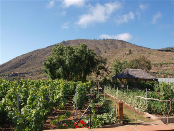 finca-rustica-en-venta-en-guia-de-isora-big-10