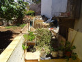 piso-en-venta-en-calle-barranquillo-de-acentejo-59-small-6