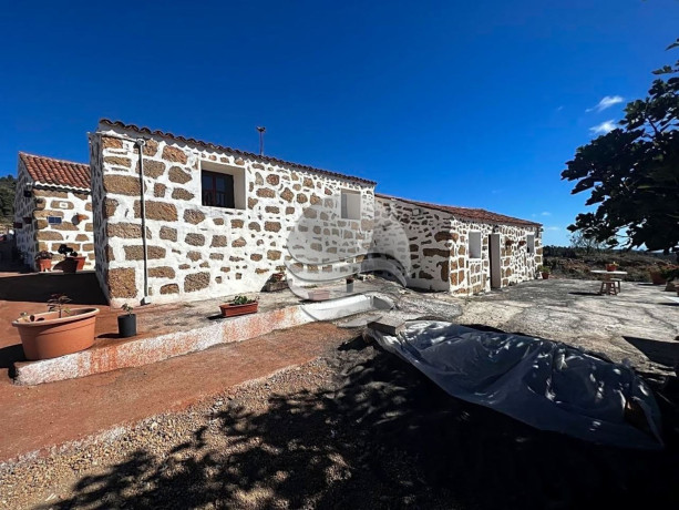 casa-o-chalet-independiente-en-venta-en-calle-la-higuera-big-11